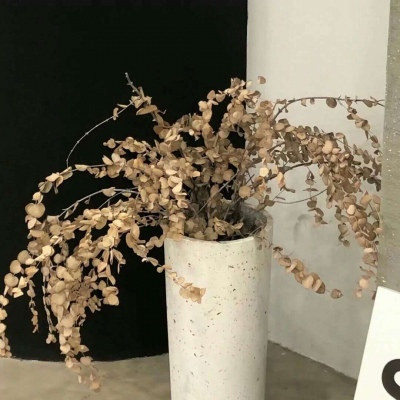 曲松福瑞交流群